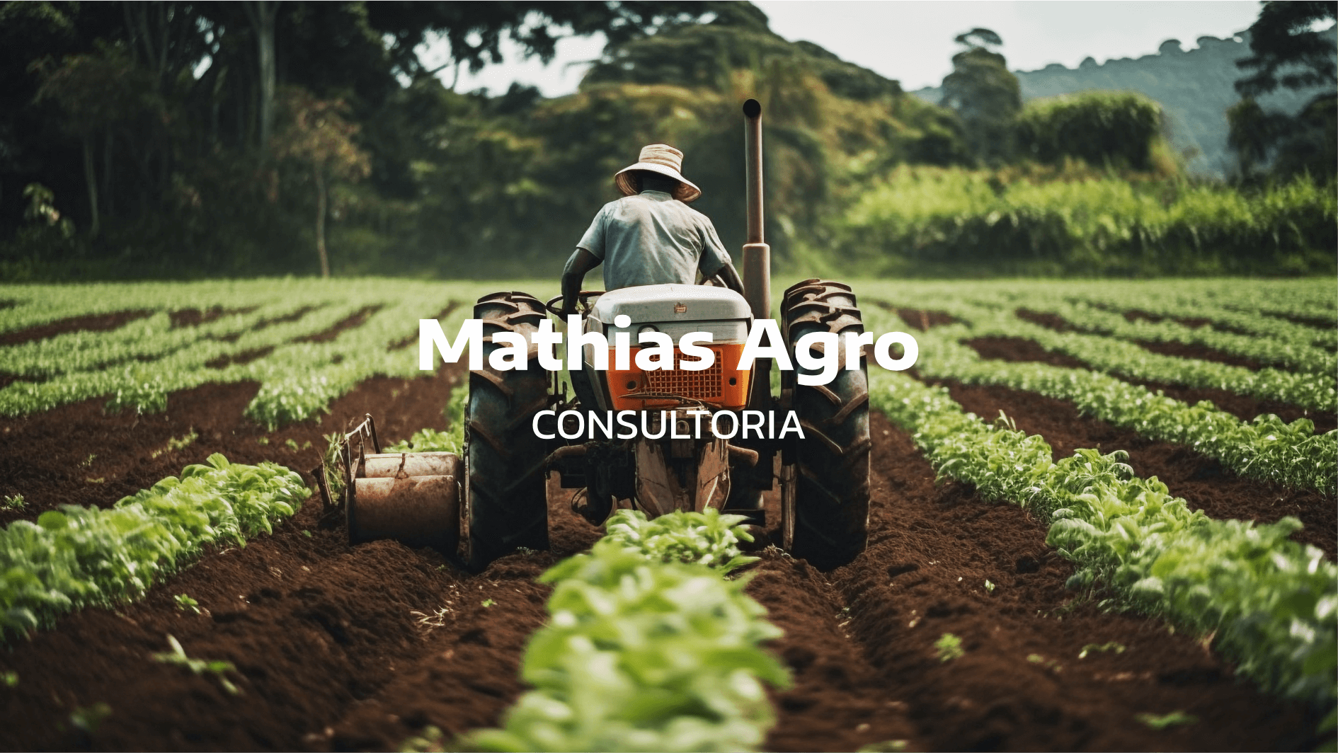 branding identidade visual consultoria agricola agro agronegocio consultoria ambiental logo